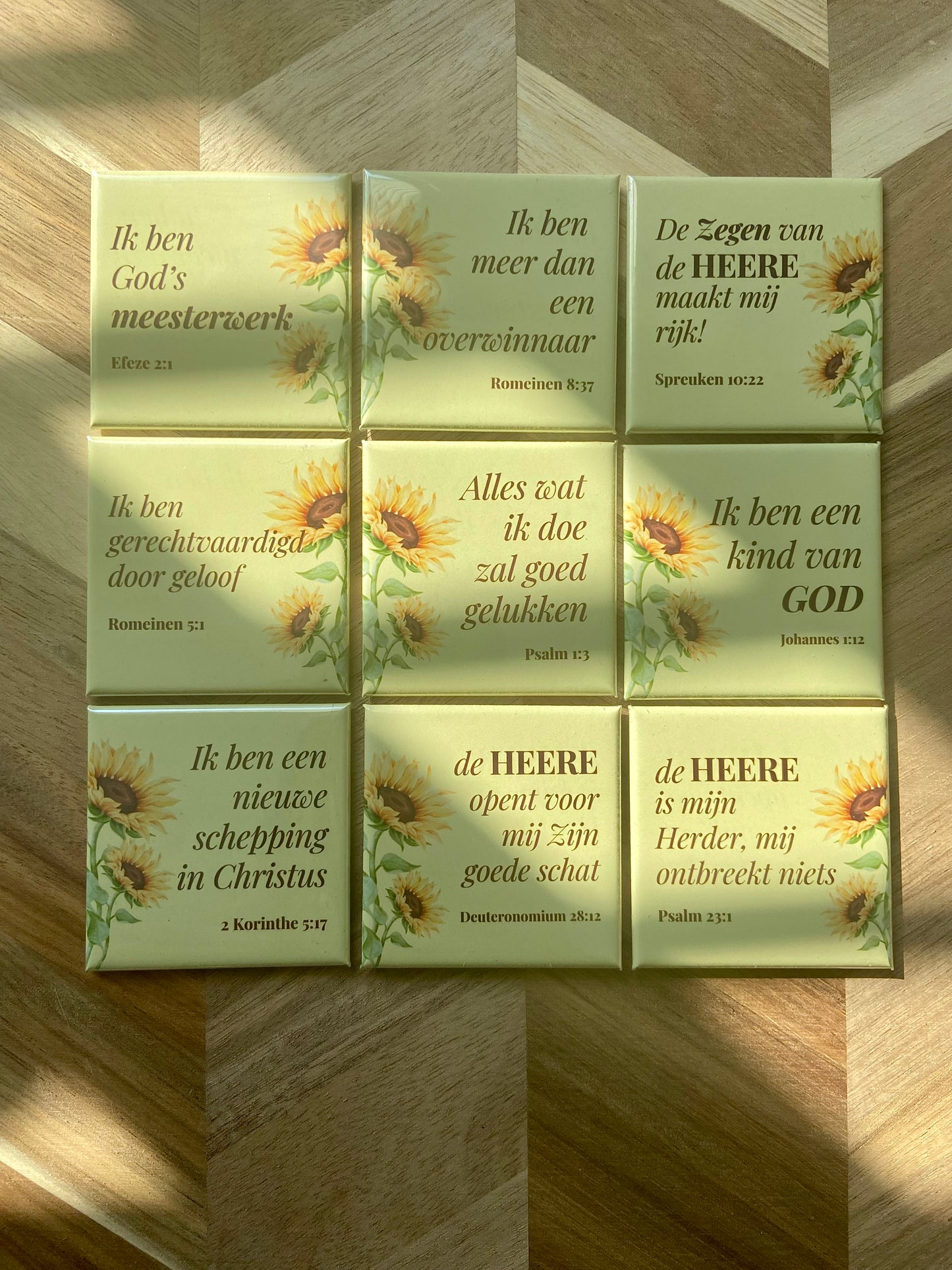 Scriptures in Zonneschijn